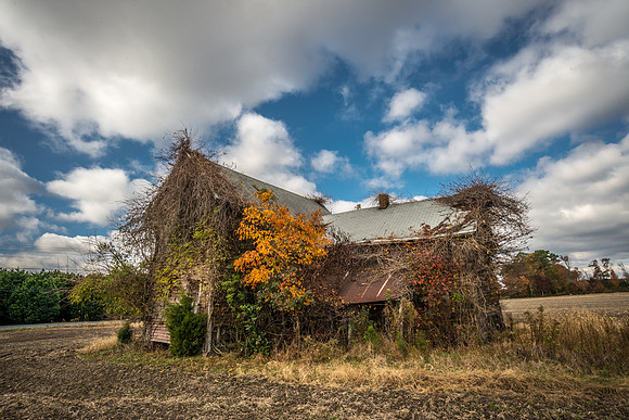 Overgrown, Fall