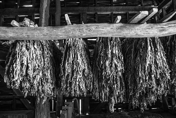 Piscataway Tobacco Barn #3