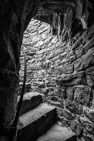 Up Toward the Light