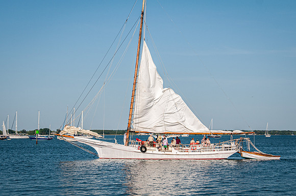 Skipjack H.M. Krentz