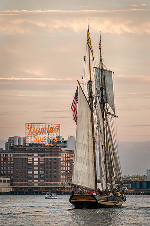 Pride of Baltimore II Sailing by the Domino Sugar Sign