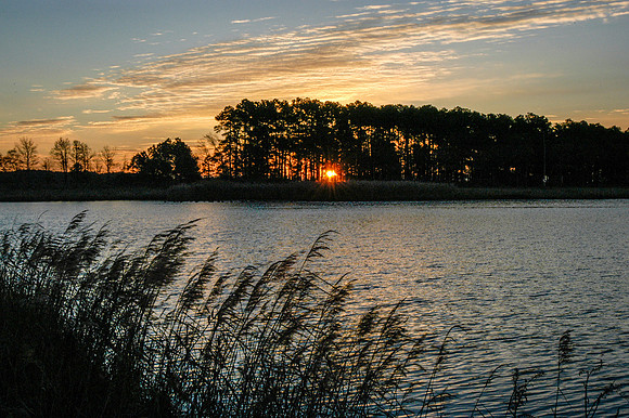 Blackwater National Wildlife Refuge