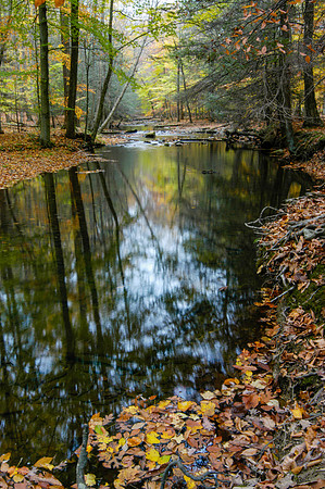 Hunting Creek, Western Maryland