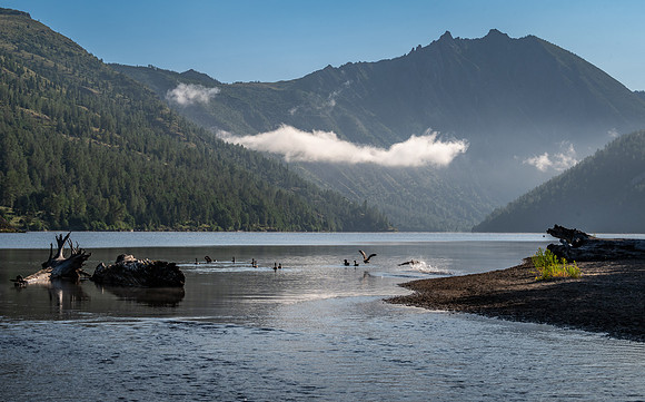 Coldwater Lake, Mt St Helens National Volcanic Monument, Washington