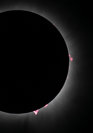 Prominences, Solar Eclipse 8 April 2024