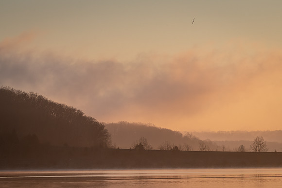 Paynetown Sunrise