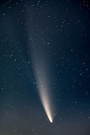 Comet C/2020 F3 (NEOWISE)
