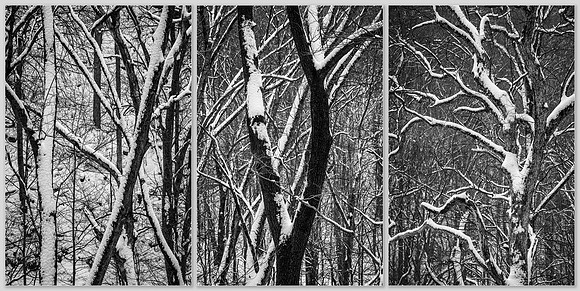 Treeptych