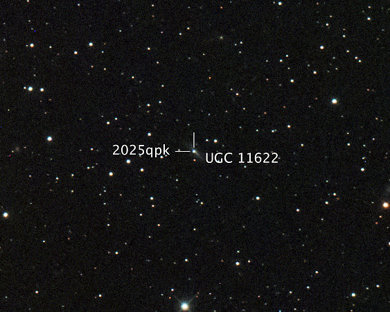 Supernova 2025qpk in Galaxy UGC 11622