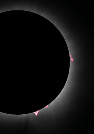 Prominences, Solar Eclipse 8 April 2024