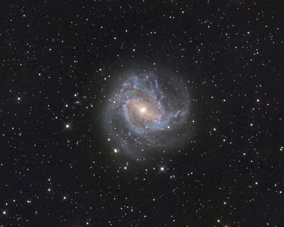 Face-on Spiral Galaxy M83