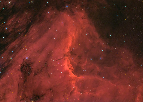 IC 5070 Pelican Nebula