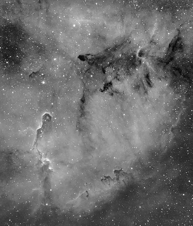 IC 1396 Elephant Trunk Nebula