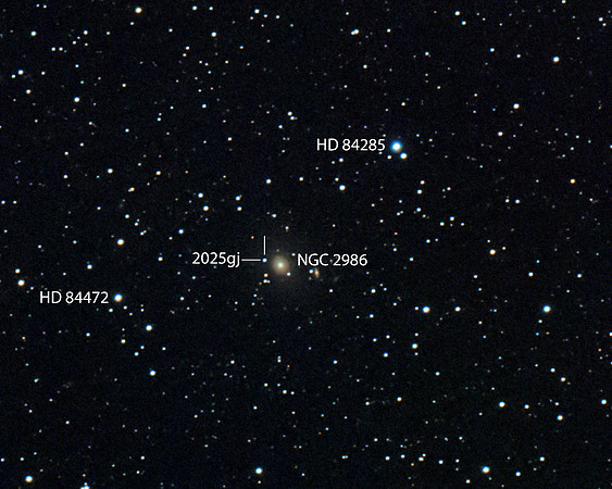 Supernova 2025gi in Galaxy NGC 2986