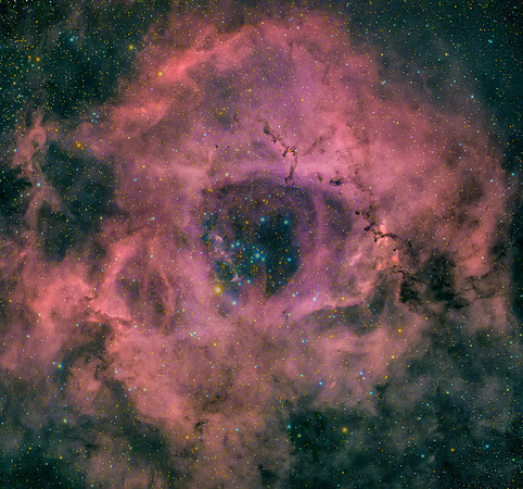 Rosette Nebula
