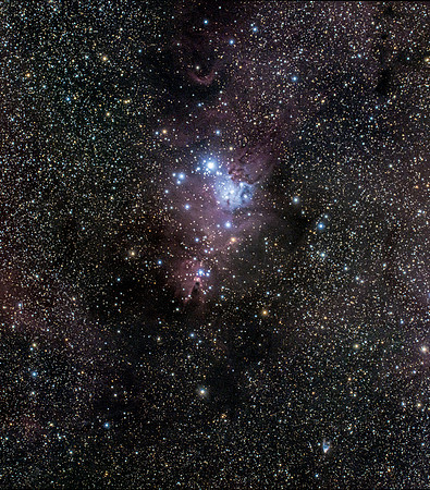 Cone Nebula Region