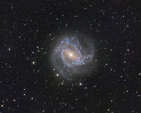 Face-on Spiral Galaxy M83