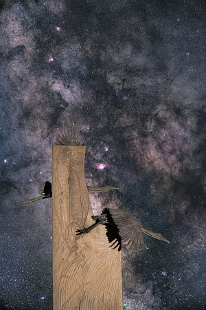 Stars Forming in Cygnus