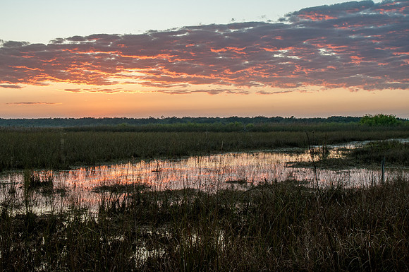 Everglades National Park, Florida