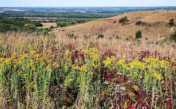 Tallgrass Prairie, Flint Hills, Kansas