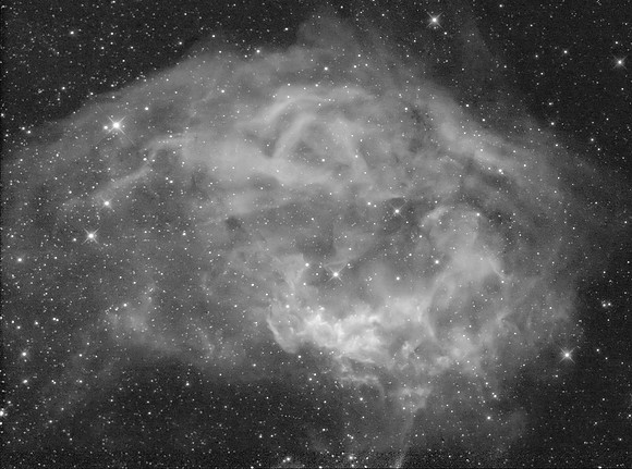 Sh 2-261, Lower's Nebula