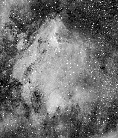 IC 5070 Pelican Nebula