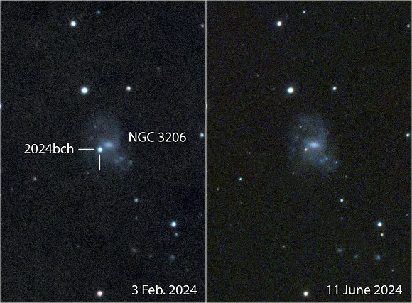Supernova 2024bch in Galaxy NGC 3206