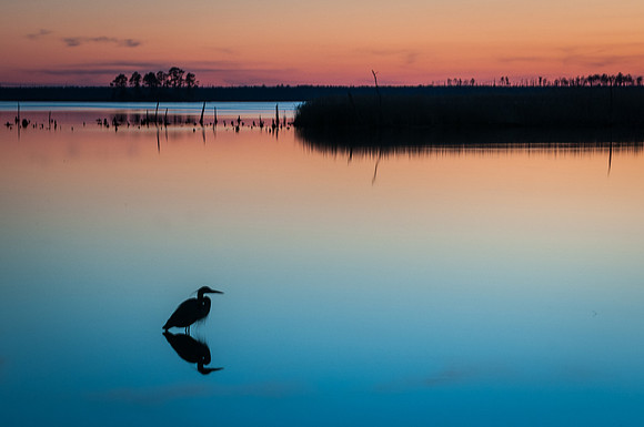 Sunset, Blackwater National Wildlife Refuge